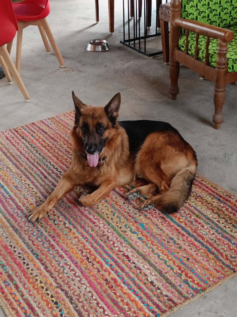 Furventures - Pet Adventures & Events - Photo 63